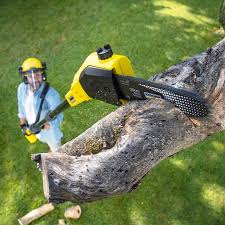 Lawn Pest Prevention in Rochelle, IL